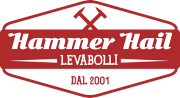 Hammer Hail corso levabolli Roma